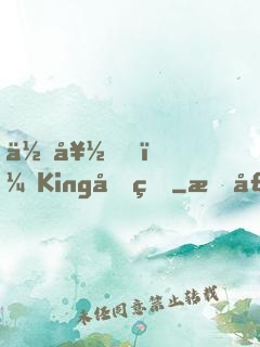 你好，King先生